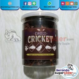 Dried Cricket Jangkrik Kering Makanan Hewan Peliharaan Kecil Sugar SG Bajing Kelapa Landak Mini Tupai Terbang Mamalia