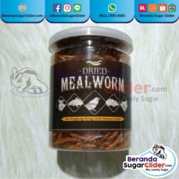 Dried Mealworm Ulat Hongkong Kering Makanan Hewan Peliharaan Kecil Sugar Glider SG Bajing Kelapa Landak Mini Tupai Terbang Mamalia