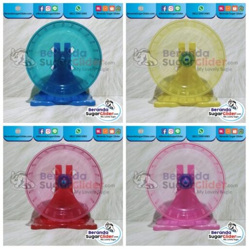 Jogging Wheel Roda Putar Warna Biru Kuning Merah Pink Mainan Hewan Peliharaan Kecil Sugar Glider SG Bajing Kelapa Hamster Landak Mini Tupai Terbang Mamalia
