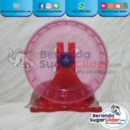 Jogging Wheel Roda Putar Warna Merah Mainan Hewan Peliharaan Kecil Sugar Glider SG Bajing Kelapa Hamster Landak Mini Tupai Terbang Mamalia