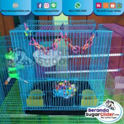 Kandang Besi Lipat Sweet Ukuran Kecil Small Size S Full Set 1 Hewan Peliharaan Joey Sugar Glider SG Bajing Kelapa Burung Gecko Guinea Pig Hamster Marmut Tupai Terbang