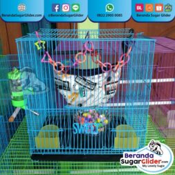 Kandang Besi Lipat Sweet Ukuran Kecil Small Size S Full Set 2 Hewan Peliharaan Joey Sugar Glider SG Bajing Kelapa Burung Gecko Guinea Pig Hamster Marmut Tupai Terbang