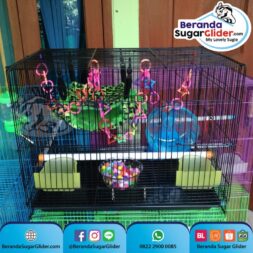 Kandang Besi Lipat Sweet Ukuran Sedang Medium Size M Full Set 1 Hewan Peliharaan Joey Sugar Glider SG Bajing Kelapa Burung Guinea Pig Hamster Landak Mini Marmut Musang Otter Tupai Terbang