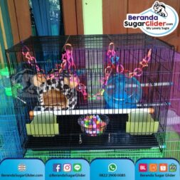 Kandang Besi Lipat Sweet Ukuran Sedang Medium Size M Full Set 3 Hewan Peliharaan Joey Sugar Glider SG Bajing Kelapa Burung Guinea Pig Hamster Landak Mini Marmut Musang Otter Tupai Terbang