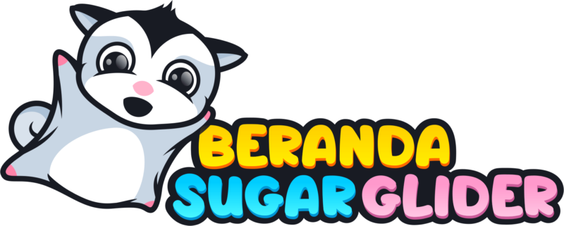 Beranda Sugar Glider
